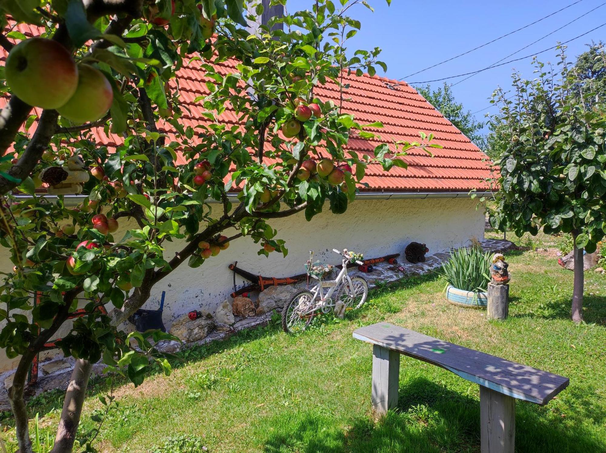 Hotel Mala Zidanica Tomasevci Exterior foto